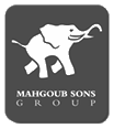 Logo 4